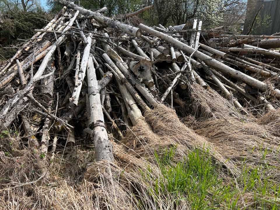 Brennholz Rundholz - zum selber sägen in Vilsbiburg