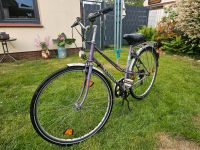 Peugeot Fahrrad Lila Niedersachsen - Loxstedt Vorschau