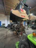 Getriebe/ Triebsatz Reparatur für Fendt, MF, Valtra ML 75-260 Nordrhein-Westfalen - Warburg Vorschau