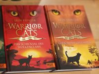 Warrior Cats Special Adventures Erin Hunter Hardcover Rheinland-Pfalz - Birkenfeld Vorschau