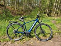 E-Bike Giant Explore E+2 GTS Rahmengröße M Nordrhein-Westfalen - Hörstel Vorschau