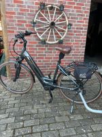 Ebike Pegasus Niedersachsen - Damme Vorschau