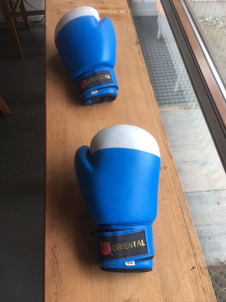 Boxhandschuhe in Sindelfingen