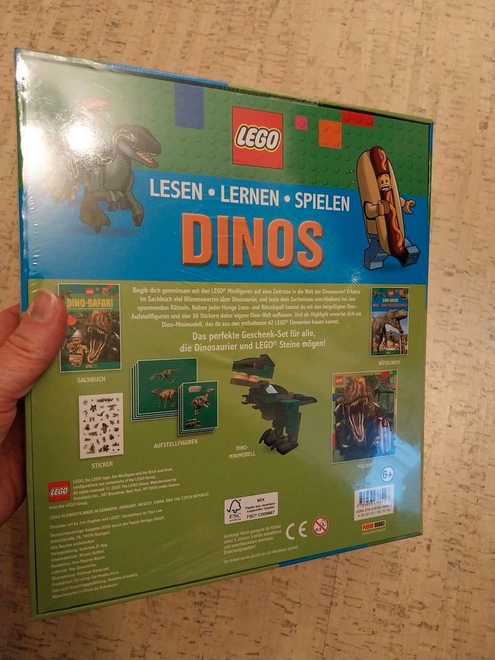 Lego Dinos Lesen Lernen Spielen in Alfter