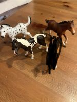 Schleich Tiere - Fohlen Steele / Kray - Essen Freisenbruch Vorschau