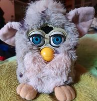 Furby  Tiger eher Leopard 1998 leider defekt Schleswig-Holstein - Wilster Vorschau