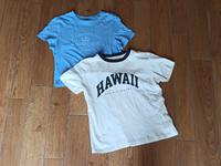 H&M Pull&Bear T-Shirt blau weiß S Brandenburg - Petershagen Vorschau