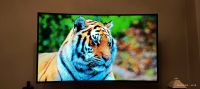 Samsung Curved Smart TV  49zoll Dortmund - Barop Vorschau