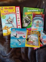 Kinderbücher Wale, Dinos..... Schleswig-Holstein - Elmshorn Vorschau