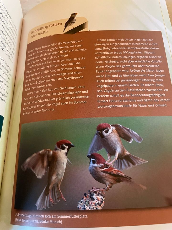 Vögel beobachten,für große und kleine Ornitologen in Merkendorf