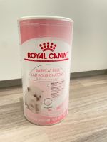 Royal Canin Milch für Katzenbabys Nordrhein-Westfalen - Bergisch Gladbach Vorschau
