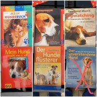 Hundebücher Sachsen - Chemnitz Vorschau