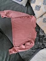 Sweatshirt gr.38 Champion rose Sachsen - Taucha Vorschau