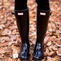 original hunter Gummistiefel Hamburg-Nord - Hamburg Winterhude Vorschau