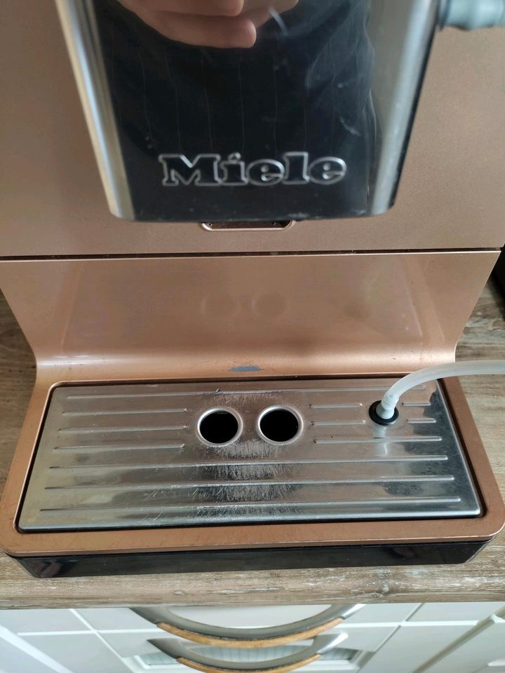 Miele CM 5500 Kaffeevollautomat Rose-Gold in Rahden