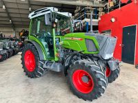 Fendt 208 F S3 Vario (211,210,209,200) Rheinland-Pfalz - Wellen Vorschau