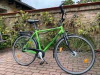 Herrenrad metallicgrün 28 Zoll Citybike Jugendrad Brandenburg - Potsdam Vorschau