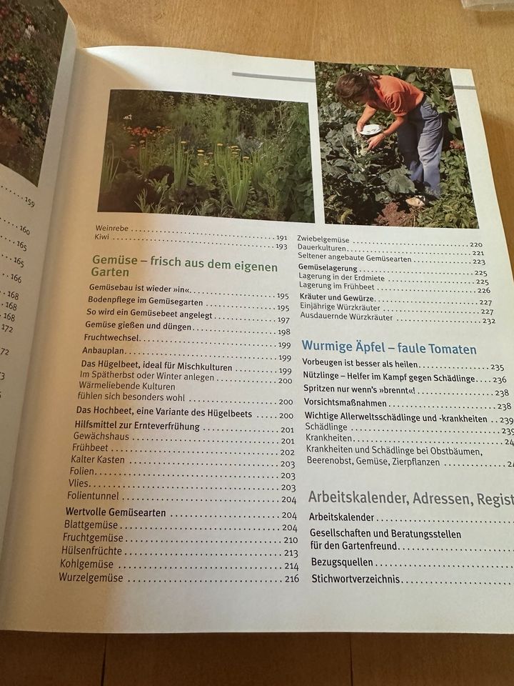 Martin Stangels Garten Ratgeber Buch wie neu Stauden Obst Gehölze in Bannewitz