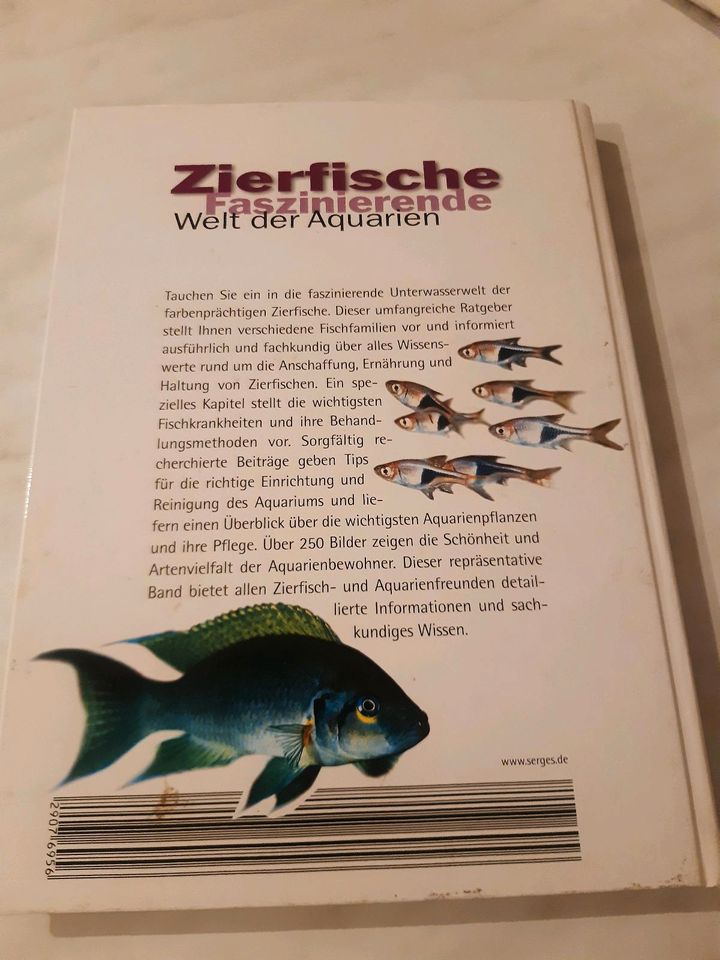 Zierfische in Uslar