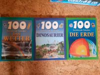 Kinderbuch - Wetter, Dinos, Erde Thüringen - Starkenberg Vorschau