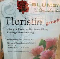 Florist/Floristin gesucht Sachsen-Anhalt - Naumburg (Saale) Vorschau