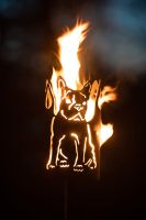 Gartenfackel Französische Bulldogge Set Garten Feuer ab 87 €* Niedersachsen - Heemsen Vorschau