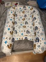 Extra großes Babynest Schleswig-Holstein - Schuby Vorschau