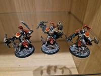 age of Sigmar Underworlds stormcast eternals Rheinland-Pfalz - Dohr Vorschau
