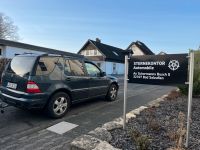 SUCHE Fahrersitz für Mercedes ML W163 Nordrhein-Westfalen - Bad Salzuflen Vorschau