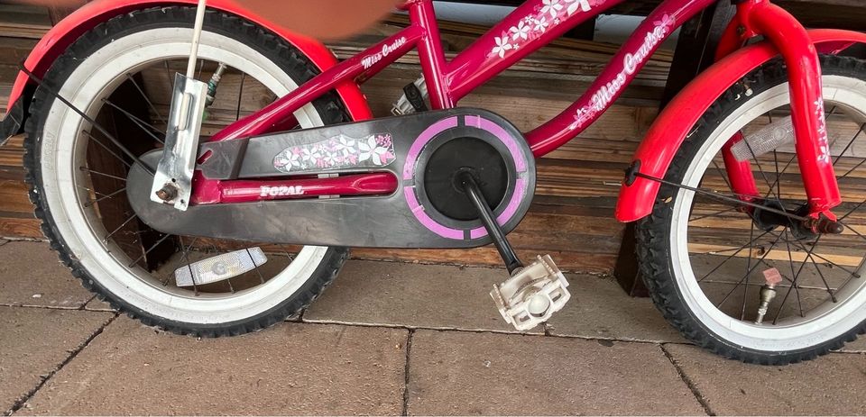 Pink/Lila popal kinder Fahrrad ohne bremsen in Hamm