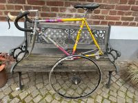 Rossin Fahrradrahmen 56cm mit Shimano 600 Schaltung Nordrhein-Westfalen - Kerpen Vorschau