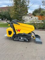 Wacker Neuson DT10 Dumper Kettendumper Kippmulde Raupendumper Bayern - Dietramszell Vorschau