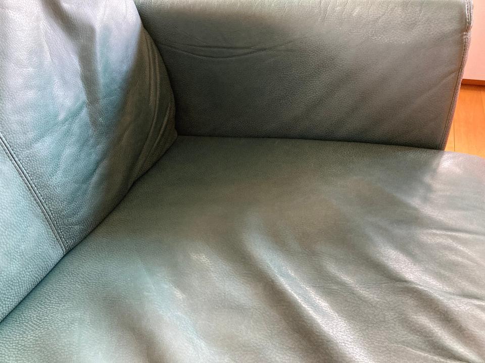 Winkel-Ledersofa, DREIPUNKT Infinity, Belsoft Nubuk, grün/schwarz in Wardenburg