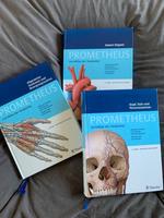 ❌ Thieme - 3x Prometheus Lernatlas | Physio & Ergotheapie Nordrhein-Westfalen - Wenden Vorschau