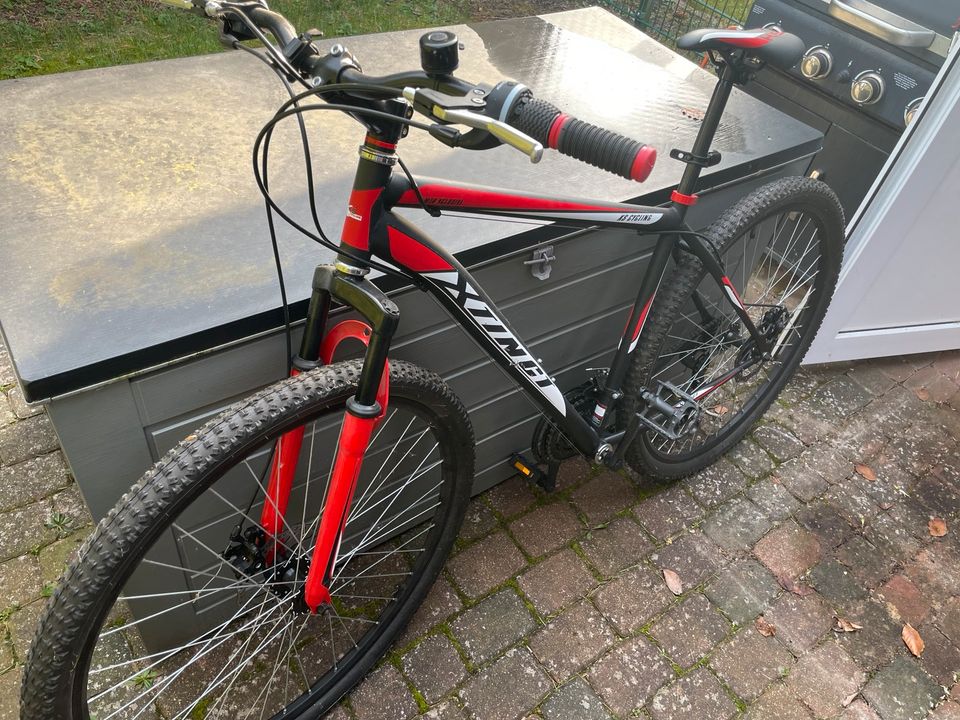 Mountainbike 29“ in Neu Wulmstorf