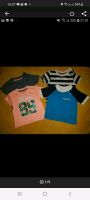 Baby Jungs T-Shirts Sommerkleidung Shorts 62/68 Topomini Sachsen - Freital Vorschau