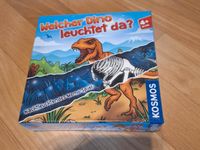 Memory Welcher Dino leuchtet da Sachsen - Dippoldiswalde Vorschau
