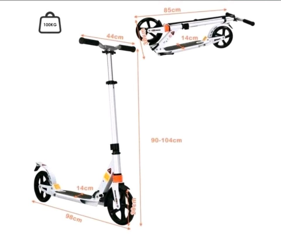 Kinderscooter Tretroller in Hofkirchen