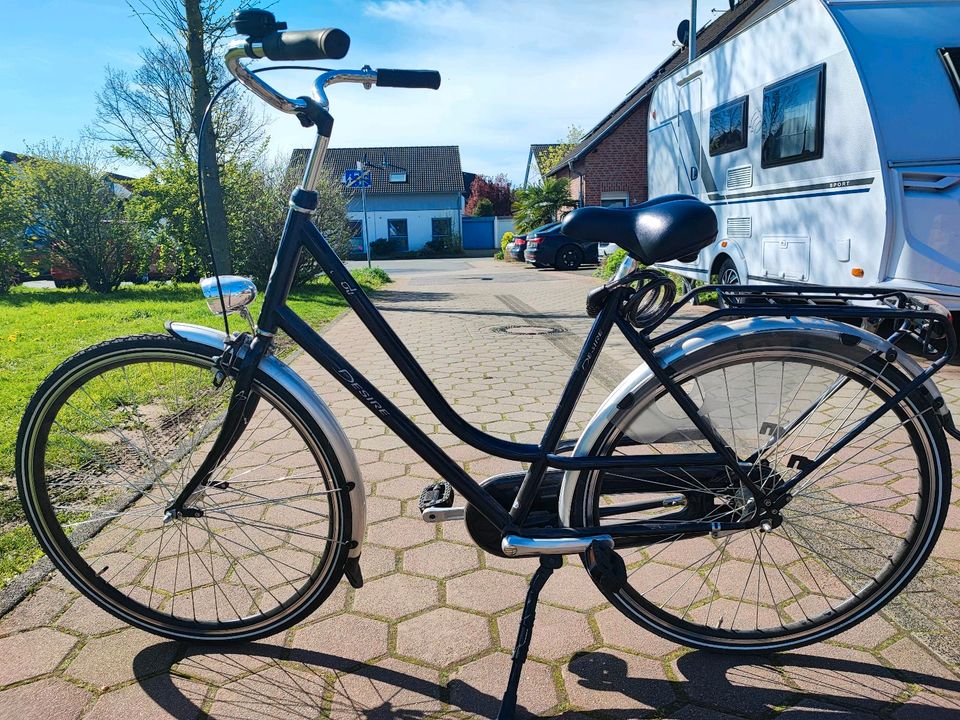 Damenfahrrad Desire 28 Zoll in dunkelblau in Moers