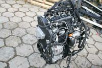 Motor VW Tiguan Polo Golf VI 1.6 TDI CAY CAYC CAYD 105PS komplett Rheinland-Pfalz - Waldalgesheim Vorschau