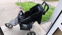 Knorr Baby Sportkinderwagen Rheinland-Pfalz - Trier Vorschau