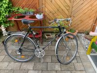 Fahrrad XL Raleigh Rialto Retro/Vintage Bahnhofsfahrrad Bayern - Dorfen Vorschau