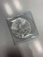 1 Unze Plata Pura Siegesgöttin 2007 Mexiko Silber Münze 1oz Bayern - Baar i. Schwaben Vorschau