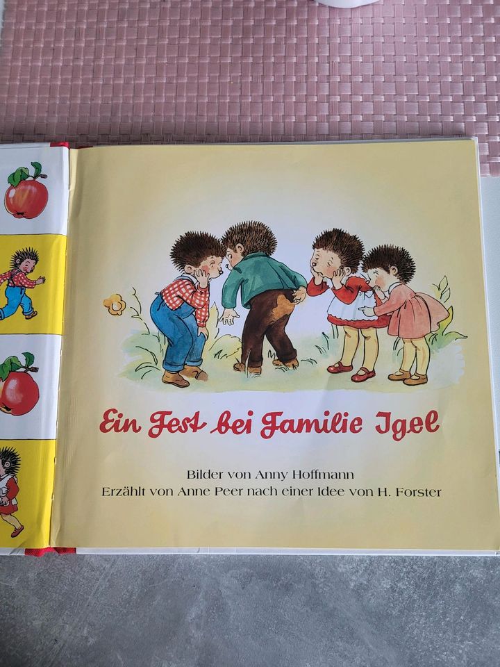 Kinderbuch Ein Fest bei Familie Igel in Wasserburg