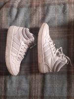 Adidas Hoops 3.0 Sneaker Weiß 42 Damen Sachsen-Anhalt - Halle Vorschau