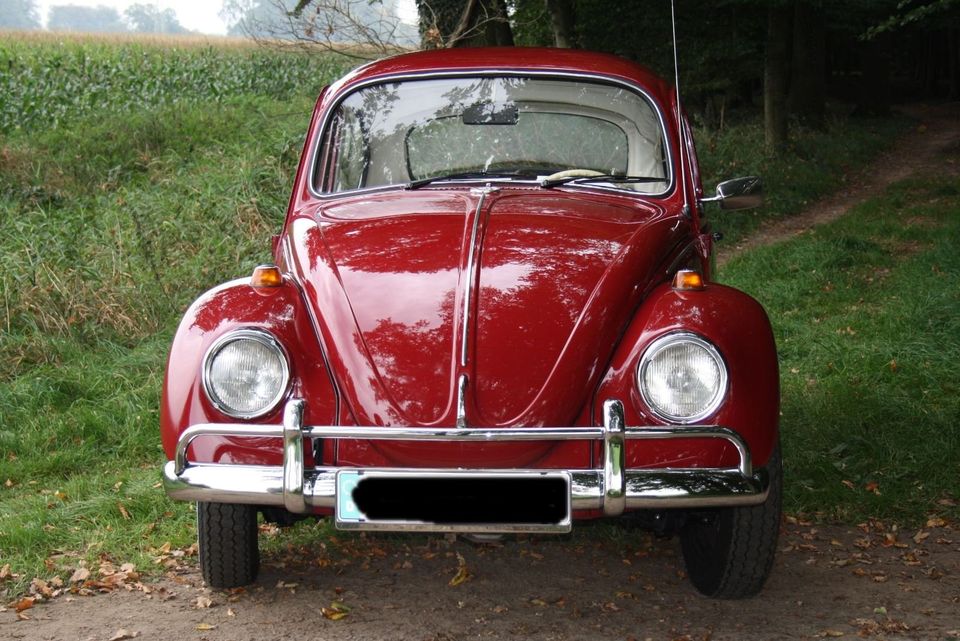 VW Käfer 1300 Baujahr 1968 Komplett restauriert in Neuenkirchen-Vörden