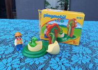 Playmobil 123 Dinobaby Dinosaurierbaby mit Ei in OVP Nr. 9121 Hessen - Nidderau Vorschau