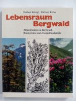 Lebensraum Bergwald Bayern - Neusitz Vorschau