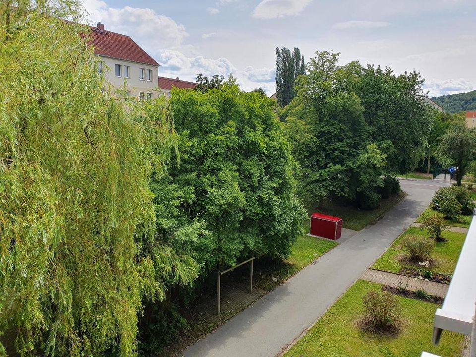Balkonblick ins Zwickauer Umland in Wilkau-Haßlau