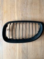 BMW e60/61 Nieren Grill Bayern - Fraunberg Vorschau